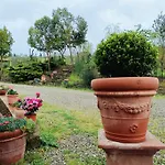 Tatil Evi Casa Orneto Poggibonsi