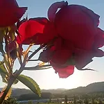 Tatil Evi Casa Orneto *