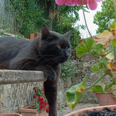 Сasa de vacaciones Casa Orneto *
