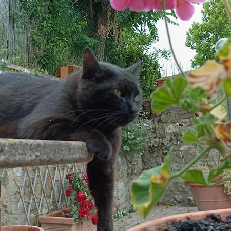 Nyaraló Casa Orneto *
