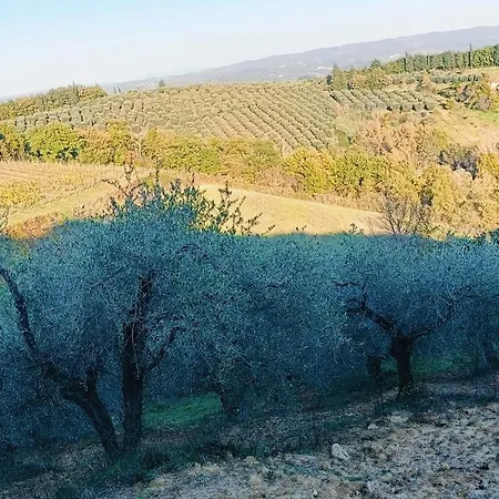 Casa Orneto Casa vacanze