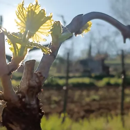 Casa Orneto Poggibonsi